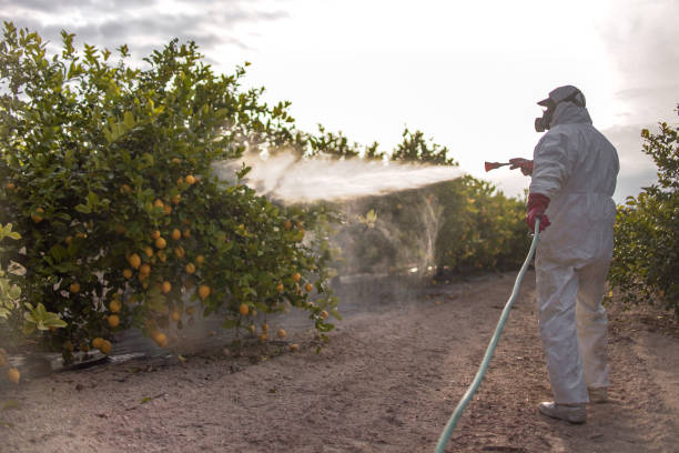 Best Best Pest Control Companies  in Woodbranch, TX